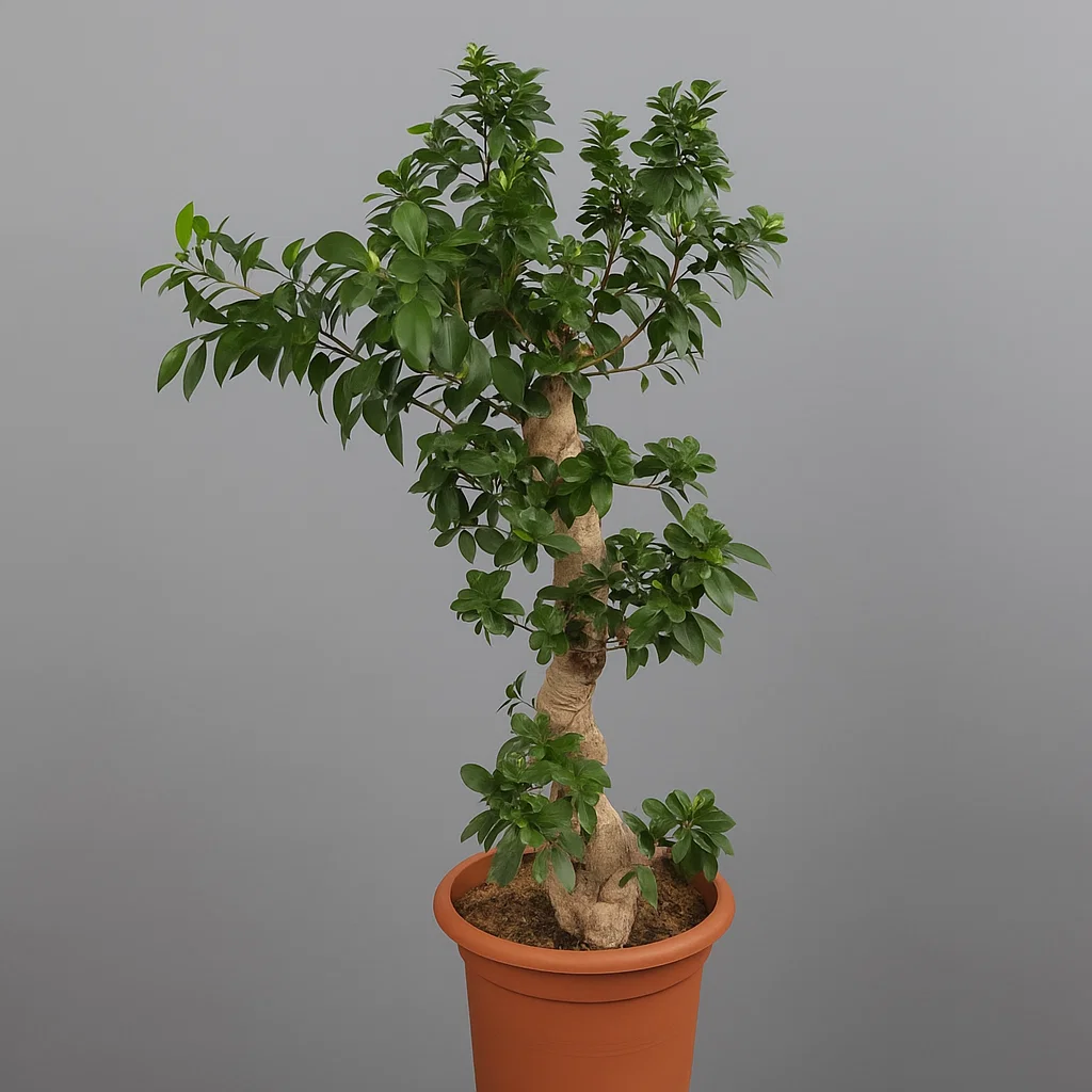 BONSAI出品 LEGO® Botanicals - Bonsai de artar japonez rosu (10348) | Noriel