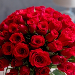 Red Roses  101 pcs