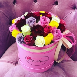 Aranjament cu 31 trandafiri multicolori, olanda ecuador, asezati in cutie medie roz decorata cu panglica de satin