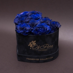 9 Trandafiri Criogenati Albastri in Inima de Catifea Neagra, cu inaltime de 12 cm si diametru de 17 cm, garantie 10 ani