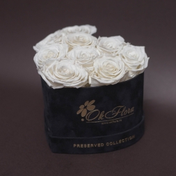 9 Trandafiri Criogenati Albi in Inima de Catifea Neagra, cu inaltime de 12 cm si diametru de 17 cm, garantie 10 ani