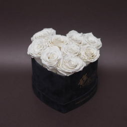 9 White Preserved Roses in Velvet Heart