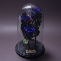 3 Trandafiri Criogenati Albastri in Cupola Mare de Sticla, cu inaltimea de 27 cm si diametru de 15 cm, garantie 10 ani