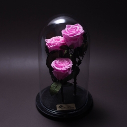 3 Trandafiri Criogenati Roz in Cupola Mare de Sticla, cu inaltimea de 27 cm si diametru de 15 cm, garantie 10 ani