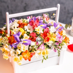 Crate with Freesias