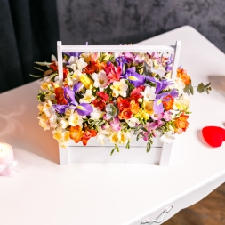 Crate with Freesias