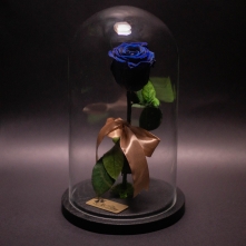 Blue Preserved Rose in Glass Dome alt vedere product