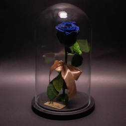 Blue Preserved Rose in Glass Dome