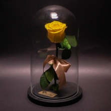 Small Yellow Cryogenic Rose in Large Dome alt vedere product