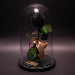 Small Black Preserved Rose in Large Dome