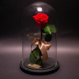 Trandafir Criogenat Rosu Mic in Cupola Mare de Sticla, cu inaltime 27 cm si diametru 15 cm, garantie 10 ani