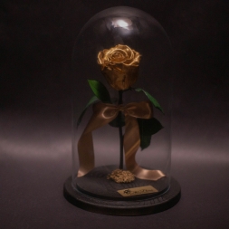 Golden Preserved Rose in Glass Dome