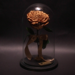 Trandafir Criogenat Bronz Mare in Cupola Mare de Sticla, cu inaltime 27 cm si diametru 15 cm, garantie 10 ani