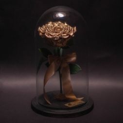 Bronze Great Preserved Rose in Glass Dome