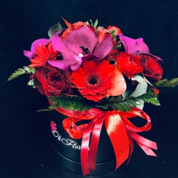 Cutie medie neagra cu trandafiri rosii, gerbera rosie, orhidee vanda mov, alstroemerie, ranunculus si verdeata