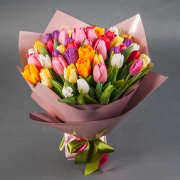 51 Multicolored Tulips