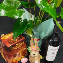 Easter Gift with Red Anthurium