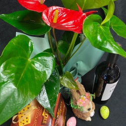Easter Gift with Red Anthurium