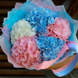Buchet de hortensii albe, albastre si roz, ambalat in hartie colorata si decorat cu panglica de satin roz si albastra