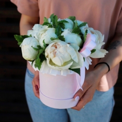 White peonies with greenery in a box (9 pcs)