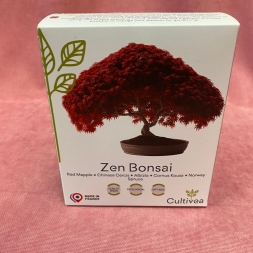 Mini Kit Zen Bonsai - Cultivea