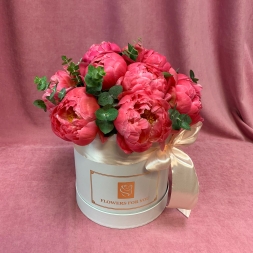 Coral Peonies in White Box
