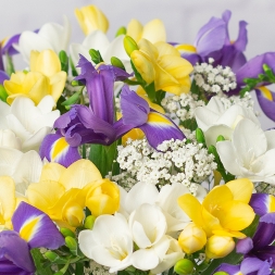 Bouquet of freesias and irises