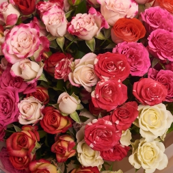 Bouquet of Gargen Mini Roses