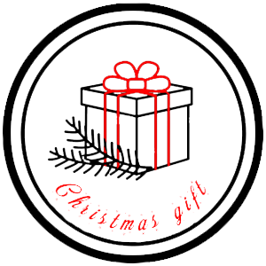 Christmas gift photo