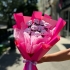 Buchet din 9 Ursuleti Roz