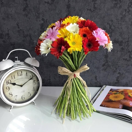 Buchet din 51 gerbere multicolore, inaltime 40 cm, diametru 40 cm, legate cu sfoara de rafie alt vedere product
