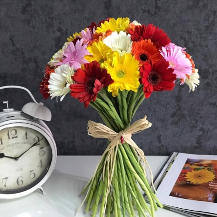 51 Gerbere multicolore alt vedere product 2