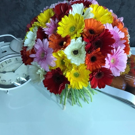 51 Gerbere multicolore alt vedere product 6