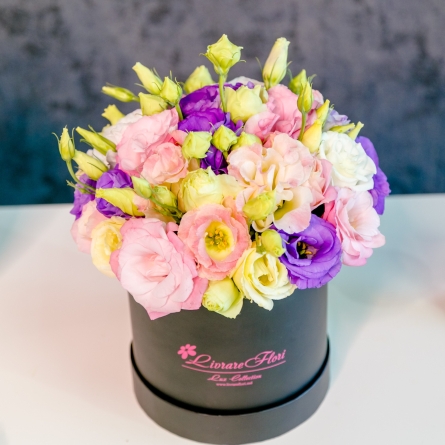 Lisianthus multicolore &icirc;n Cutie alt vedere product 2