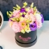 Lisianthus multicolore &icirc;n Cutie alt vedere product 3