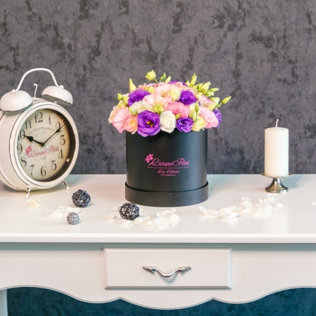 Lisianthus multicolore &icirc;n Cutie alt vedere product 4