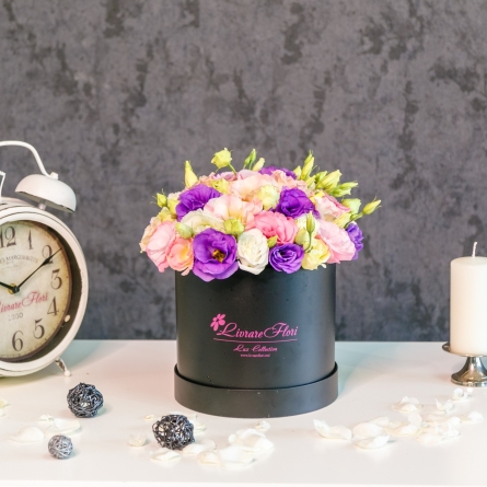 Lisianthus multicolore &icirc;n Cutie alt vedere product 5