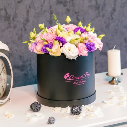 Lisianthus multicolore &icirc;n Cutie alt vedere product 7