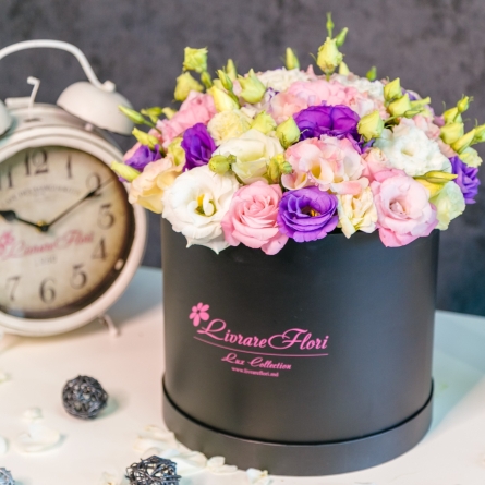 Lisianthus multicolore &icirc;n Cutie alt vedere product 8