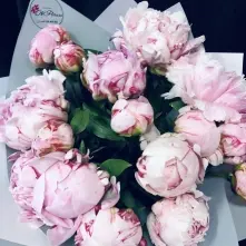 Buchet Bujori Roz alt vedere product 4
