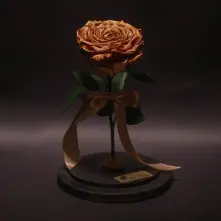 Golden Great Preserved Rose in Glass Dome alt vedere product 2