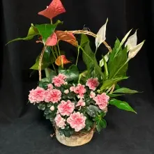 Cos cu Anthurium, Azalee si Spatiphilium alt vedere product 6