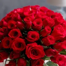 Red Roses  101 pcs alt vedere product 2