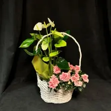 Cos cu Azalee si Anthurium alt vedere product 3