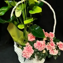 Cos cu Azalee si Anthurium alt vedere product 7