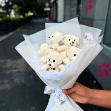Buchet din 5 Ursuleti de Plus Ivory. alt vedere product 2