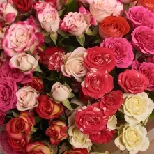 Bouquet of Gargen Mini Roses alt vedere product 4
