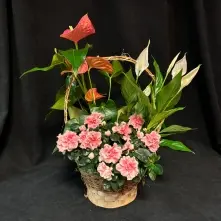 Cos cu Anthurium, Azalee si Spatiphilium alt vedere product 3
