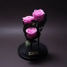 3 Pink Preserved Roses in Glass Dome alt vedere product 2