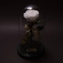 Trandafir Criogenat Alb Mediu in Cupola Mare de Sticla, cu inaltimea de 27 cm si diametru de 15 cm, garantie 10 ani alt vedere product